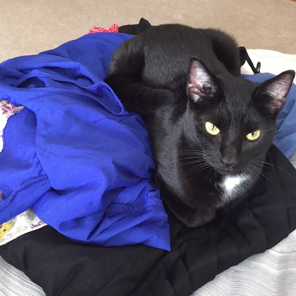 Meet your Posher, Lily